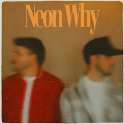Neon Why - Single by Frank Legeay & Brooks Hoffman album reviews, ratings, credits