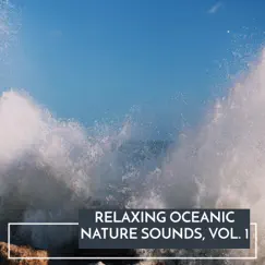 Relaxing Oceanic Nature Sounds, Vol. 1 by Various Artists album reviews, ratings, credits