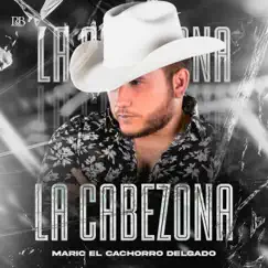 La Cabezona - Single by Mario 