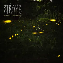 Strays - EP by Michael Malarkey album reviews, ratings, credits