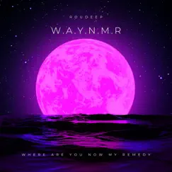 W.A.Y.N.m.R - Single by Roudeep album reviews, ratings, credits