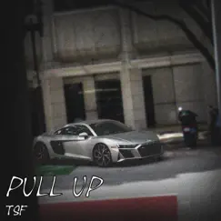 Pull Up - Single by TSF album reviews, ratings, credits