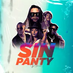 Sin Panty (Remix) - Single by El Bloonel, Yailin la Mas Viral & Lyon La Diferencia album reviews, ratings, credits