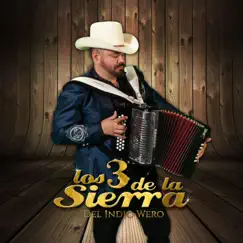 Arriba Nayarit - Single by Los 3 de la Sierra Del Indio Wero album reviews, ratings, credits