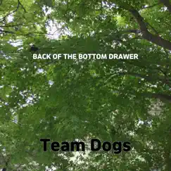 Back of the Bottom Drawer - Single by Team Dogs album reviews, ratings, credits