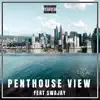 Penthouse View (feat. Swajay) - Single album lyrics, reviews, download