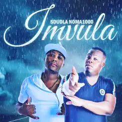 Imvula (feat. DJ SK) - Single by Sdudla Noma1000 album reviews, ratings, credits