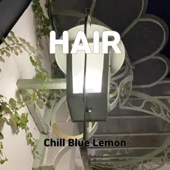 Hair - Single by Chill Blue Lemon album reviews, ratings, credits
