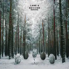 Reviver Remixed by Lane 8 album reviews, ratings, credits