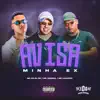 Avisa Minha Ex - Single album lyrics, reviews, download