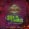 El Son Pa Los Amigos - Single album lyrics, reviews, download