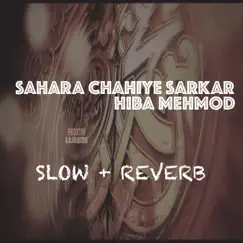 Sahara Chahiye Sarkar - Single by Hiba Mehmood album reviews, ratings, credits