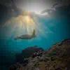 Calm Underwater Sound for Meditation and Spa - Single album lyrics, reviews, download