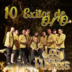 10 Éxitos de Oro by Los Flamers album reviews, ratings, credits