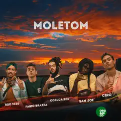 Moletom (feat. Fabio Brazza, Coruja Bc1, Rod 3030 & San Joe) - Single by Leo Casa 1, Orgânico & SóCiro album reviews, ratings, credits