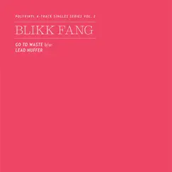 Polyvinyl 4 - Track Singles Series, Vol. 2 - Single by Blikk Fang album reviews, ratings, credits