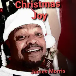 Christmas Joy - Single by James Morris album reviews, ratings, credits