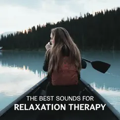 The Best Sounds for Relaxation Therapy – Healing Meditation, Mindfulness Exercises for Fight with Anxiety, Oasis of Blissful by Odyssey for Relax Music Universe album reviews, ratings, credits