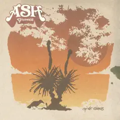 Give Signs by Ash Grunwald album reviews, ratings, credits