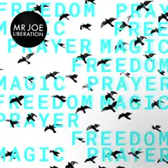 Liberation - Single by Mr Joe album reviews, ratings, credits