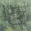 Relaxing New Age Music with Forest Sounds album lyrics, reviews, download