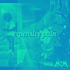 Expensive Pain by MajorrLeague Benji album reviews, ratings, credits