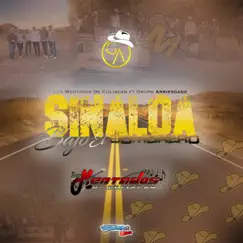 Sinaloa Bajo El Sombrero (feat. Grupo Arriesgado) - Single by Los Mentados De Culiacán album reviews, ratings, credits