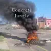 Concrete Jungle (feat. Lenkosi & Prank G) - Single album lyrics, reviews, download