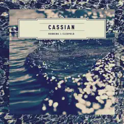 Running (feat. Cleopold) - Single by Cassian album reviews, ratings, credits