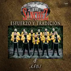 Esfuerzo y Tradición 8 Años by MARIACHI LOS SÁNCHEZ album reviews, ratings, credits