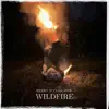 Wildfire - Single album lyrics, reviews, download