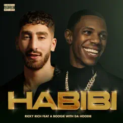 Habibi (feat. A Boogie wit da Hoodie) Song Lyrics