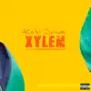 Xylem album lyrics, reviews, download