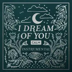 I Dream of You: CALM (Instrumental) by JJ Heller album reviews, ratings, credits