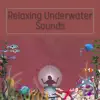 Relaxing Underwater Sounds album lyrics, reviews, download