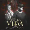 Vive la Vida - Single album lyrics, reviews, download