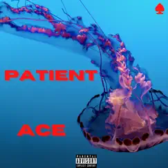 Patient - Single by Ace album reviews, ratings, credits