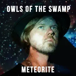 Meteorite - EP by Owls Of The Swamp album reviews, ratings, credits