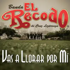 Vas a Llorar por Mí - Single by Banda El Recodo de Cruz Lizárraga album reviews, ratings, credits