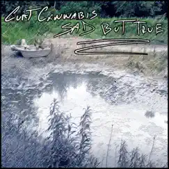 Sad But True - Single by Curt Cannabis album reviews, ratings, credits