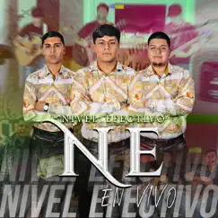 En Vivo, Vol. 2 - Single by Nivel Efectivo album reviews, ratings, credits