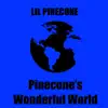 Pinecone's Wonderful World album lyrics, reviews, download