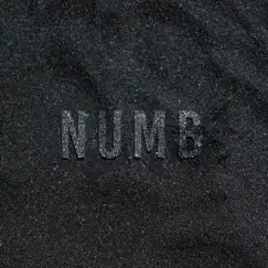 Numb (Cover Version) - Single by Divide Music album reviews, ratings, credits