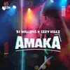Amaka - Single album lyrics, reviews, download