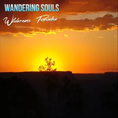 Wilderness Paradise by Wandering Souls album reviews, ratings, credits