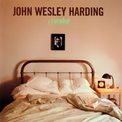 Awake by John Wesley Harding album reviews, ratings, credits