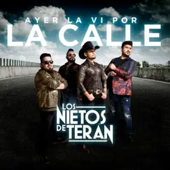 Ayer La Ví Por La Calle - Single by Los Nietos De Terán album reviews, ratings, credits