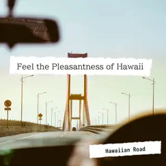 Feel the Pleasantness of Hawaii by Hawaiian Road album reviews, ratings, credits