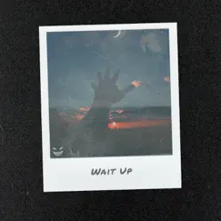 Wait Up Song Lyrics