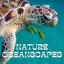 Underwater Sounds with Nature Oceanscapes by Underwater Sounds Channel, Epic Soundscapes & Water Soundscapes album reviews, ratings, credits